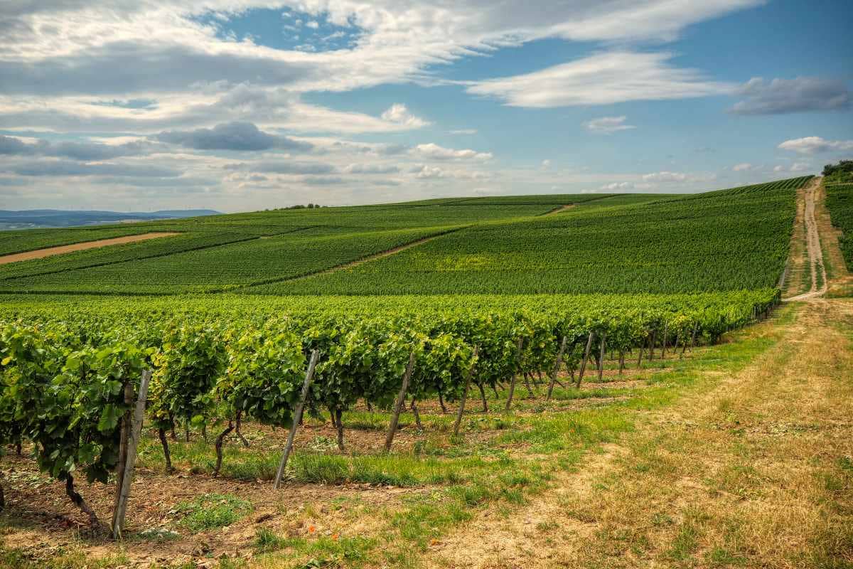 Frische Sommerluft setzt sich durch – nur im Süden noch Gewitter