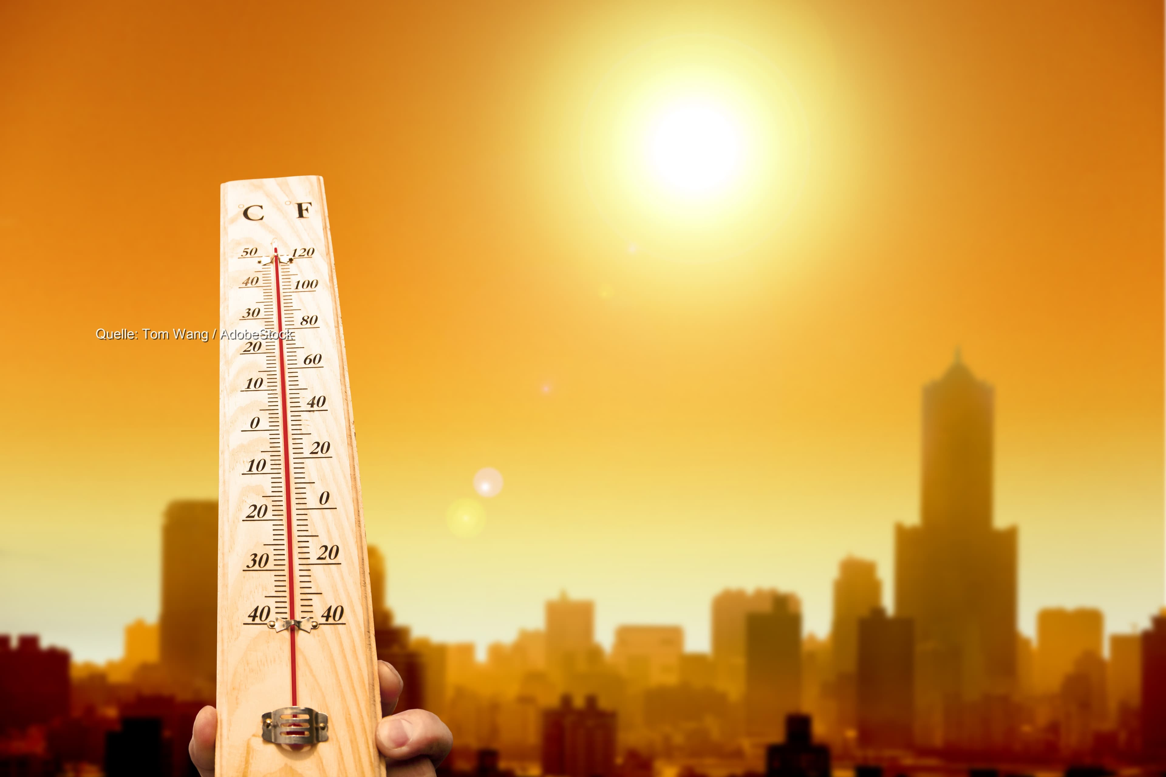 Viel Sonne und sommerliche Wärme zum Wochenausklang