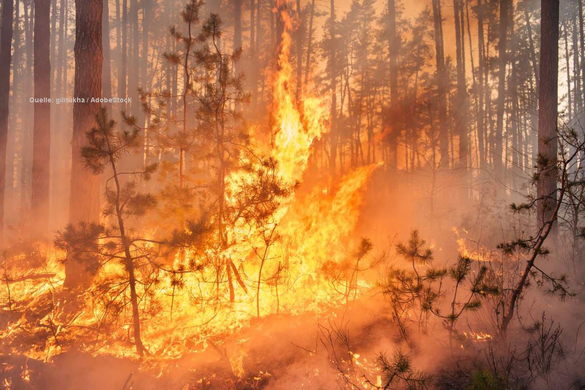 43 Grad und Wälder in Flammen: Südeuropa im Ausnahmezustand – Deutschland bleibt verschont